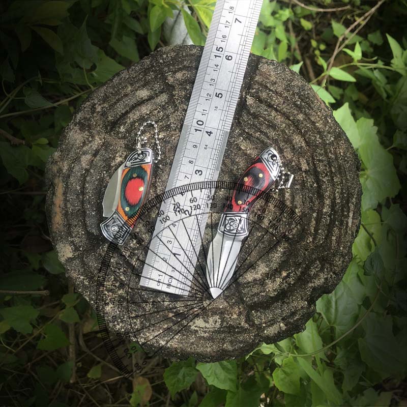 Zd Outdoor Camping - Coltello piccolo da esterno, lama pieghevole