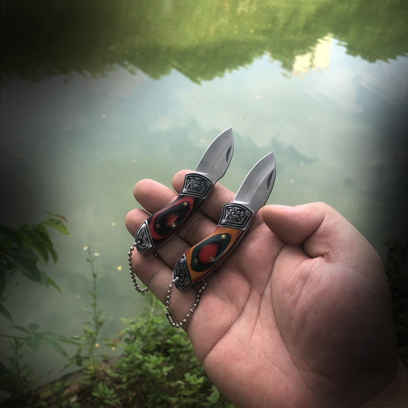 Coltello piccolo da esterno, l - Zd Outdoor Camping recensione e prezzo