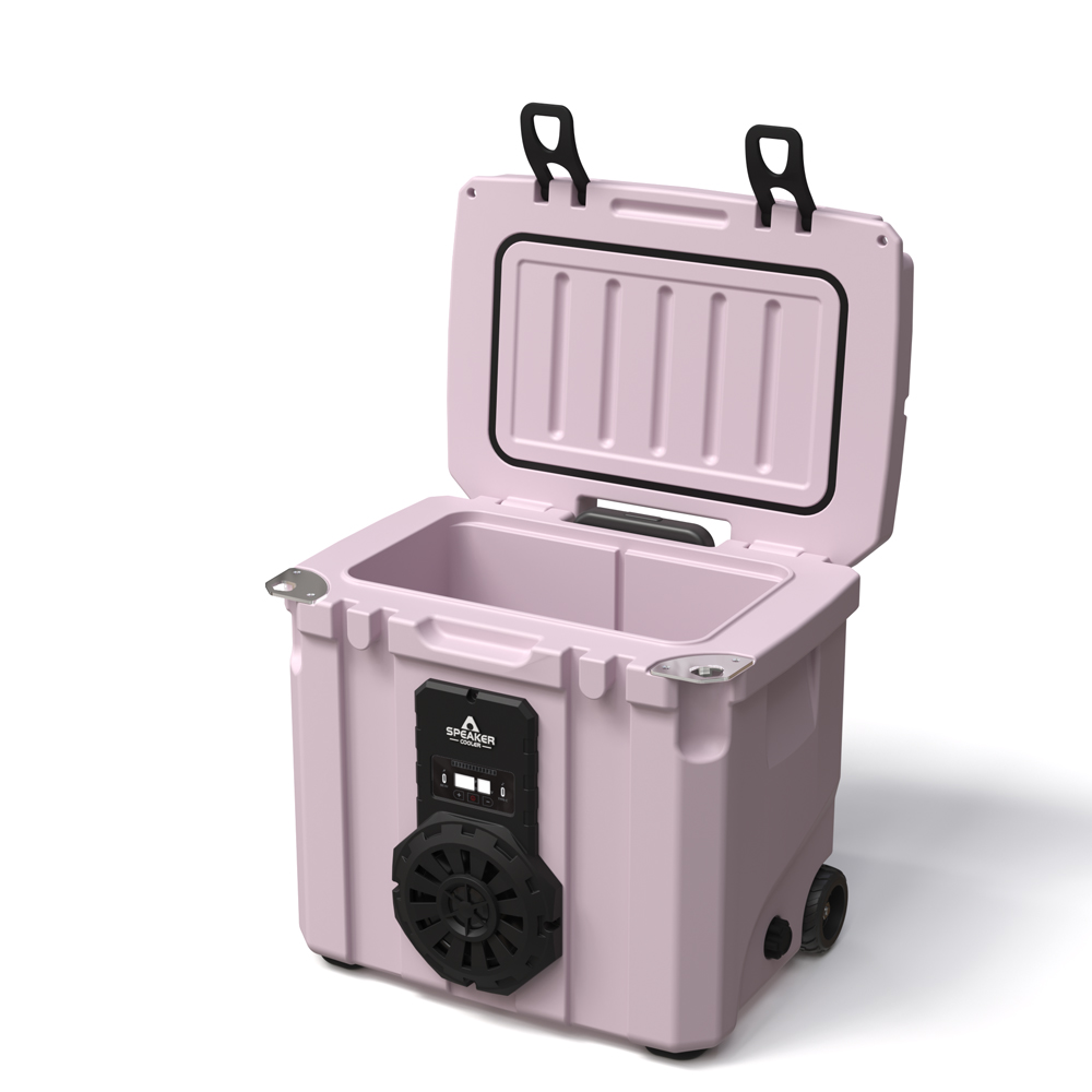 Borsa Frigo Portatile da 35L c - Outdoor In Camping recensione e prezzo