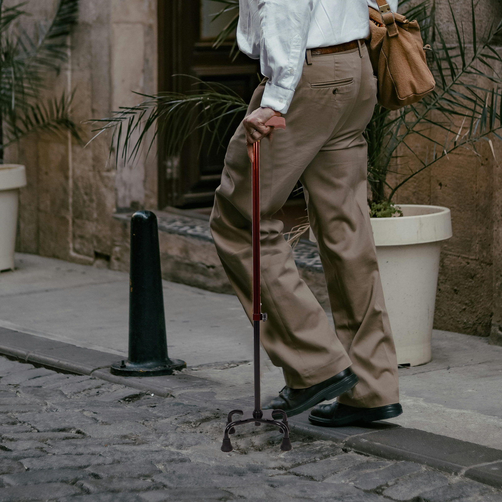 Bastone da Passeggio in Lega d - Trekking Poles recensione e prezzo